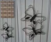borboleta